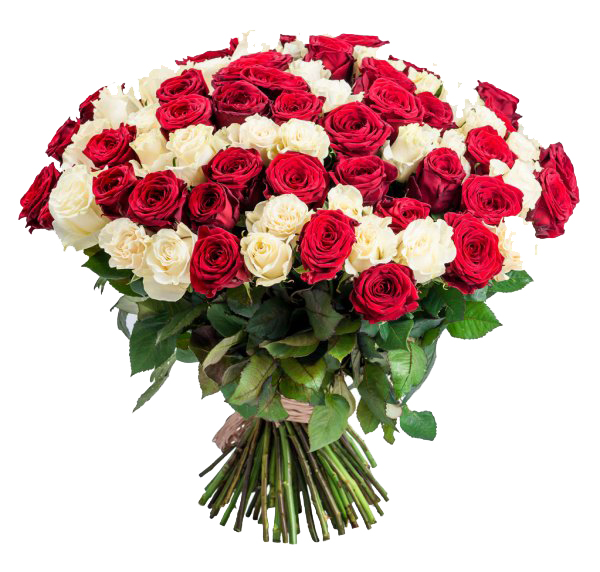 Red Bloom – Maruwa – Send Flowers to Zimbabwe